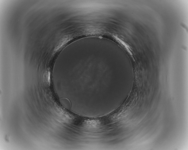 X0000097000067200802221530