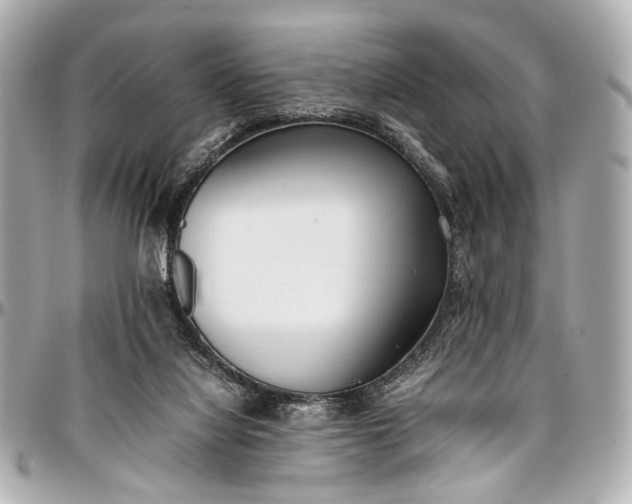 X0000097000068200802221530