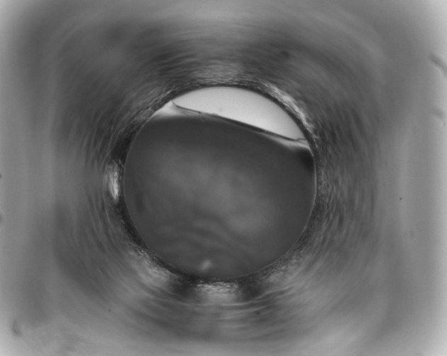 X0000097000069200802221530