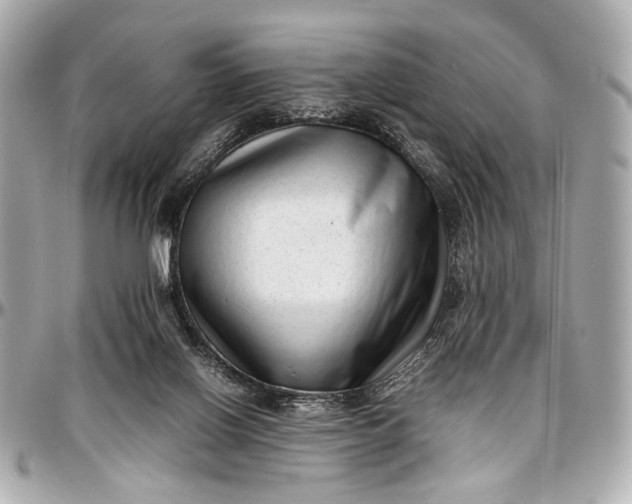 X0000097000070200802221530