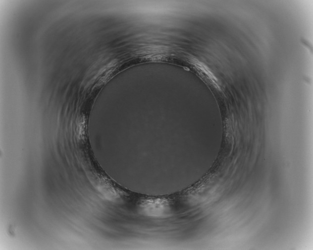 X0000097000073200802221530