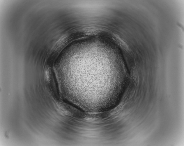 X0000097000074200802221530