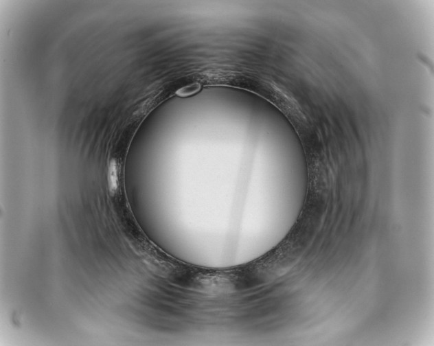 X0000097000075200802221530