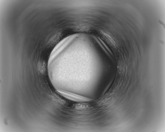 X0000097000077200802221530