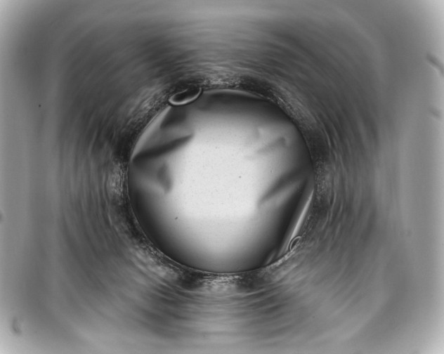 X0000097000078200802221530