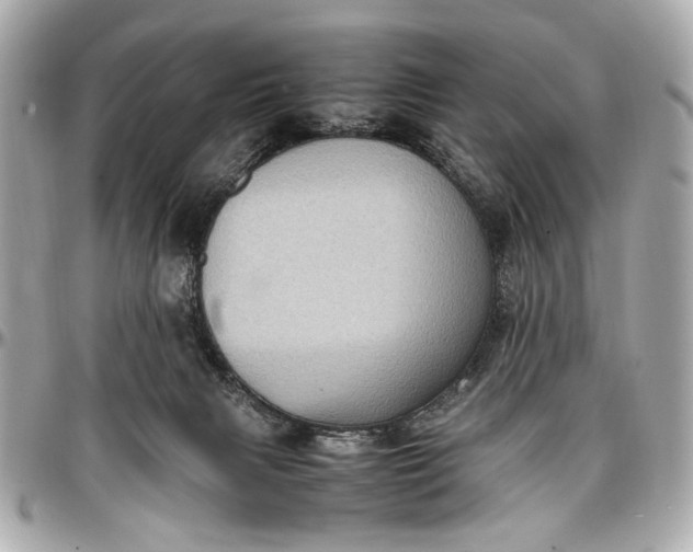 X0000097000079200802221530