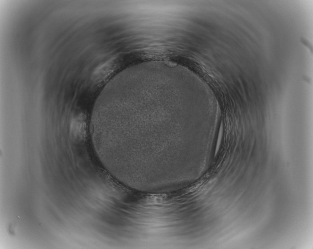 X0000097000080200802221530