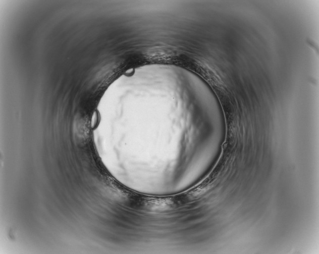 X0000097000081200802221530