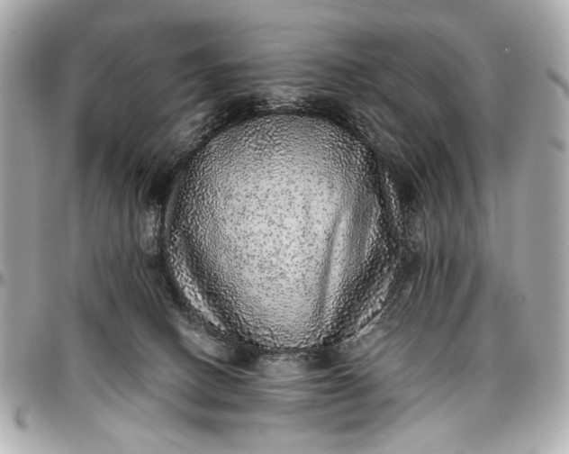 X0000097000082200802221530