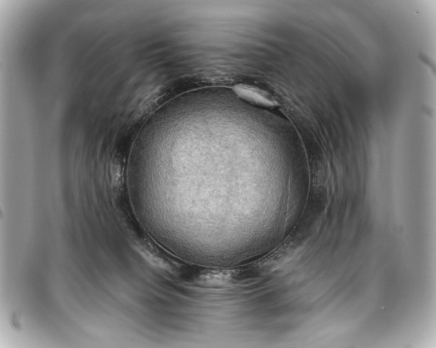 X0000097000084200802221530