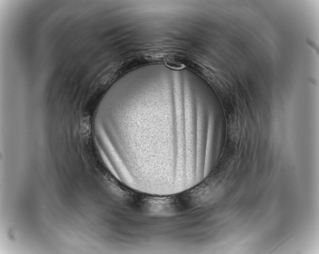 X0000097000085200802221530