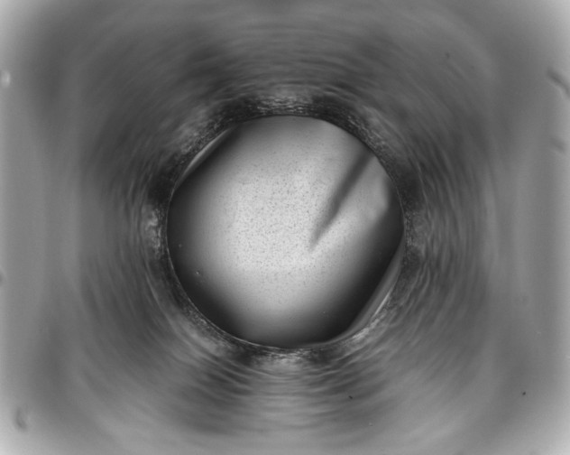 X0000097000086200802221530