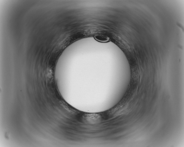 X0000097000087200802221531