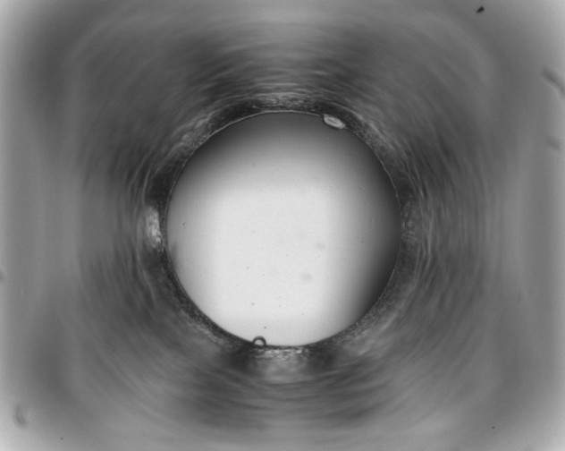 X0000097000089200802221531