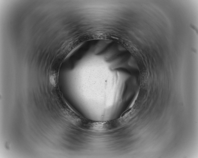 X0000097000090200802221531