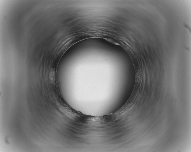 X0000097000092200802221531