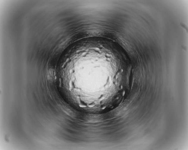 X0000097000093200802221531