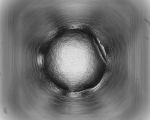 X0000097000094200802221531