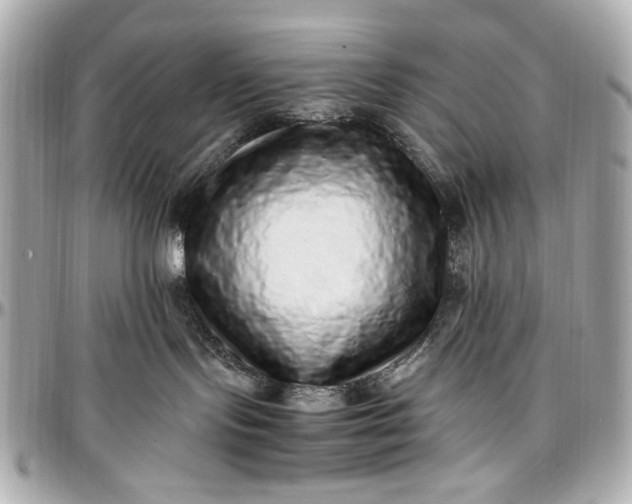 X0000097000095200802221531