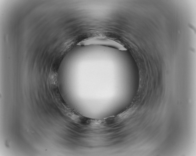 X0000097000096200802221531