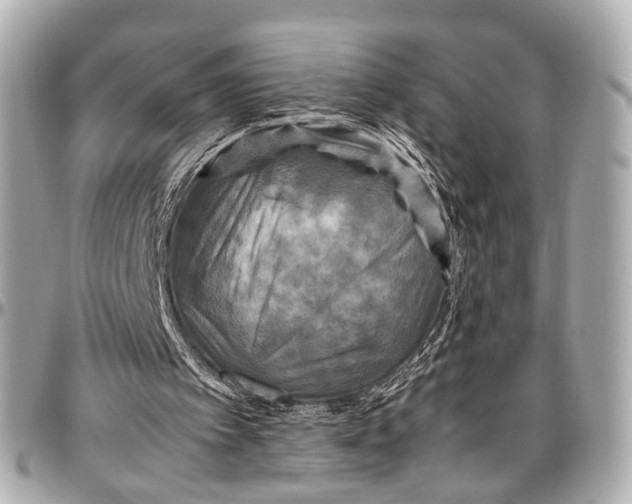 X0000097000097200802221530