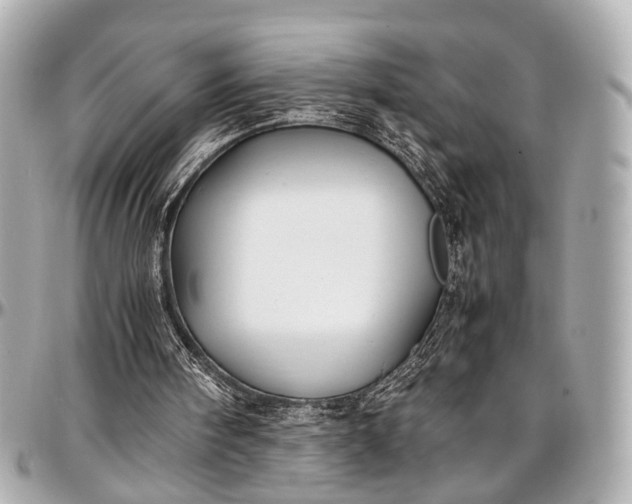 X0000097000098200802221530