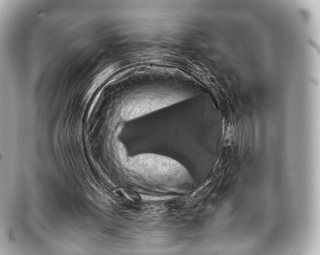 X0000097000099200802221530