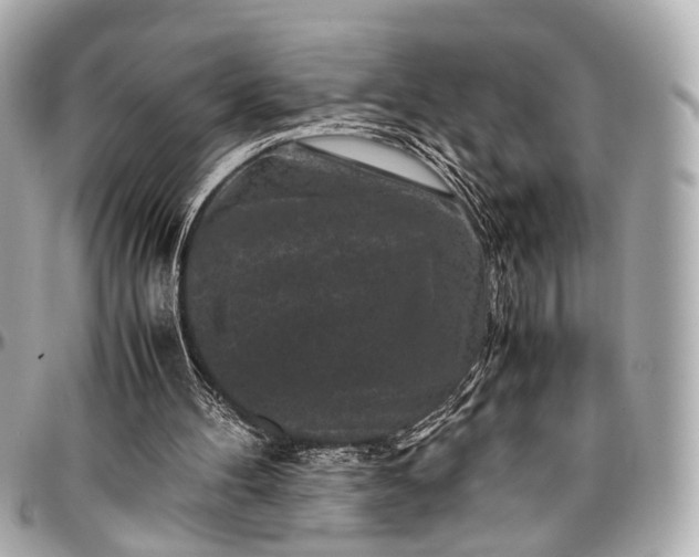 X0000097000100200802221530