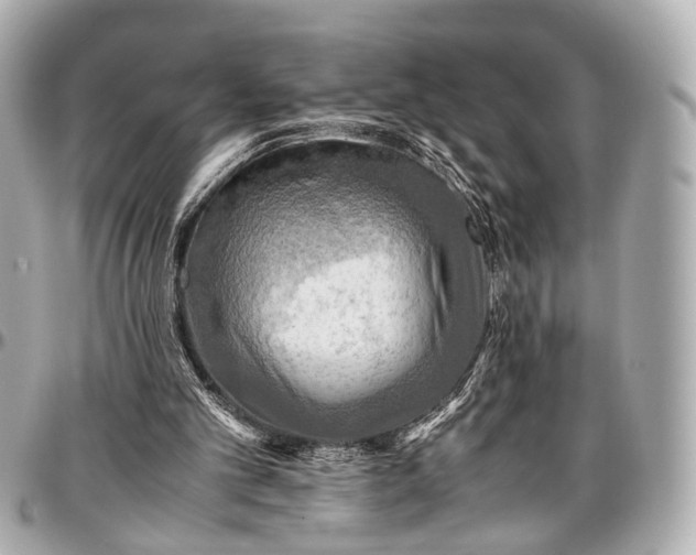 X0000097000101200802221530