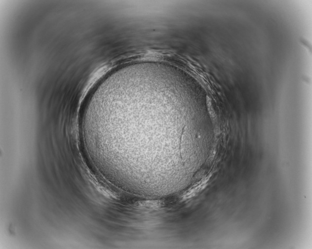 X0000097000102200802221530