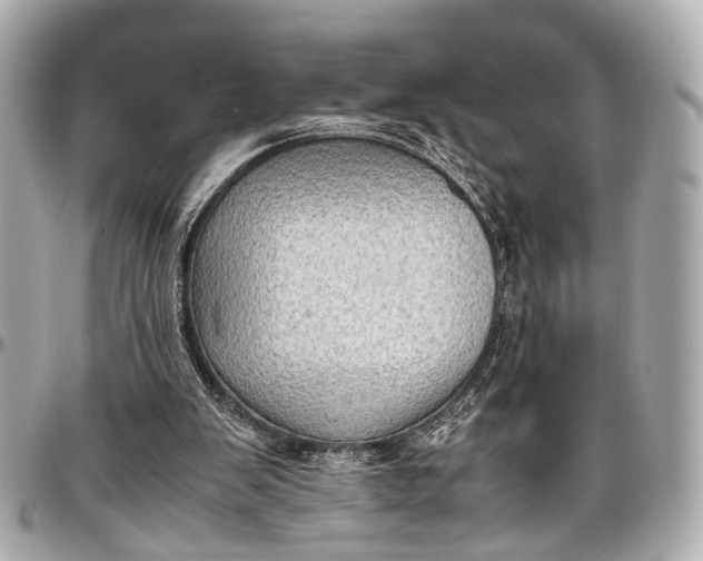 X0000097000103200802221530