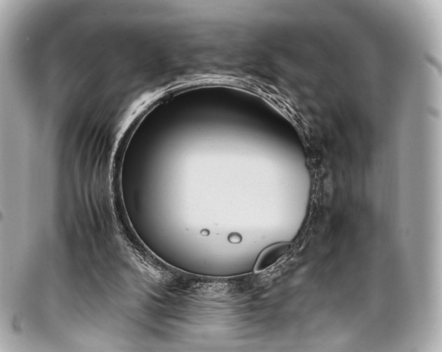 X0000097000104200802221530