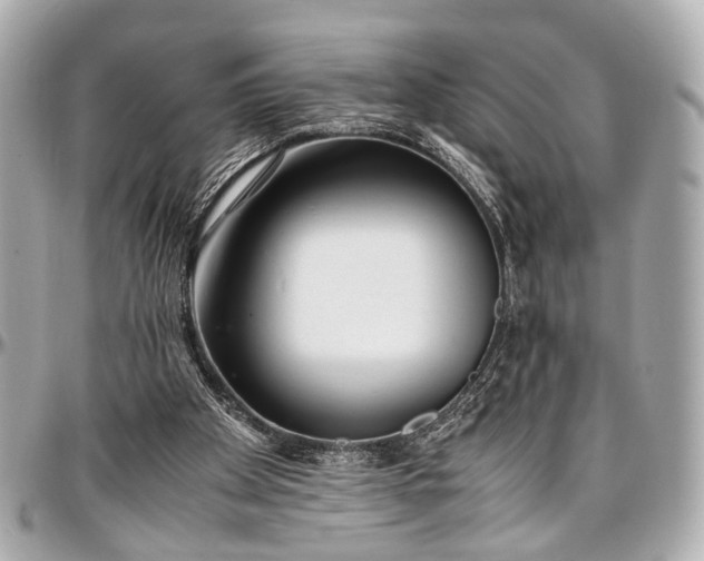 X0000097000105200802221530