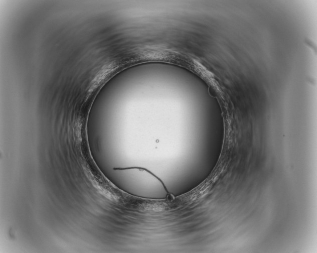 X0000097000106200802221530