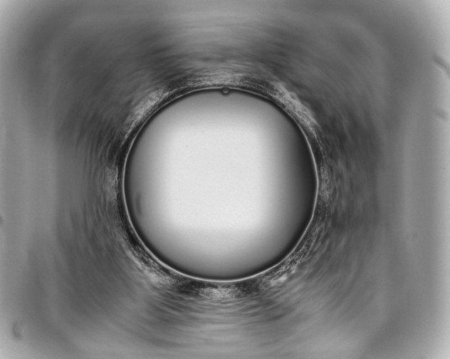 X0000097000107200802221530