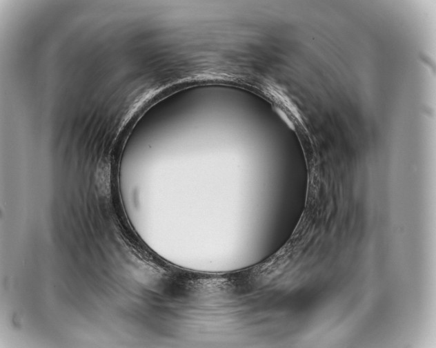 X0000097000108200802221530