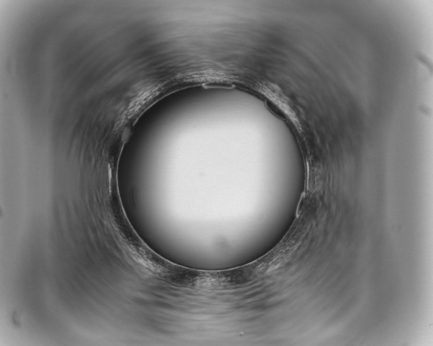 X0000097000109200802221530