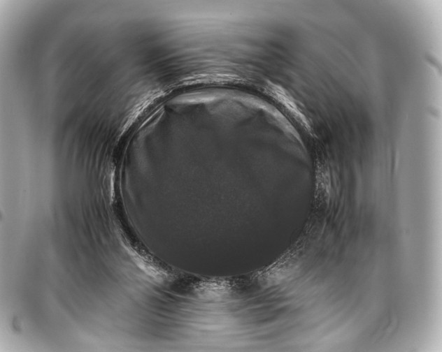 X0000097000110200802221530