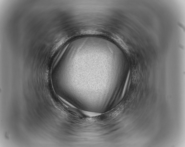 X0000097000111200802221530