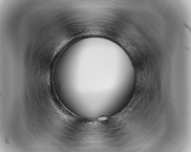 X0000097000112200802221530