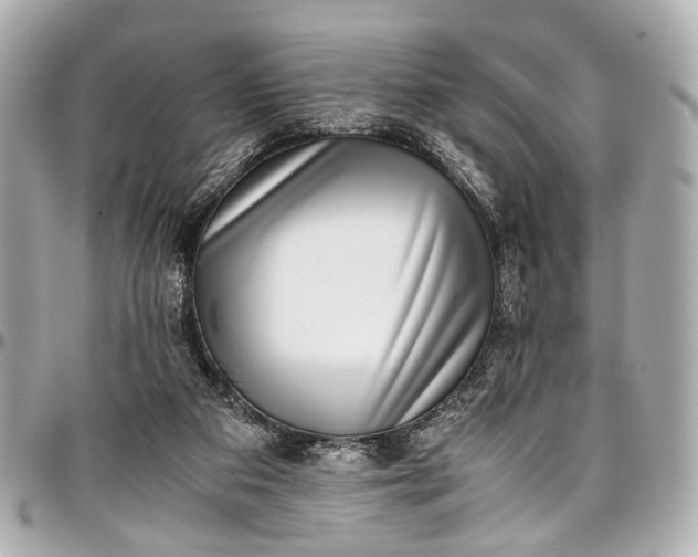 X0000097000113200802221530