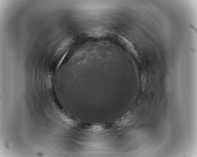 X0000097000114200802221530