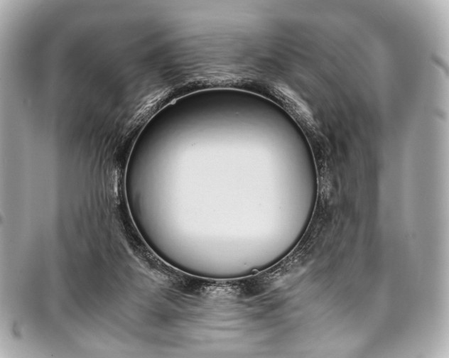 X0000097000115200802221530