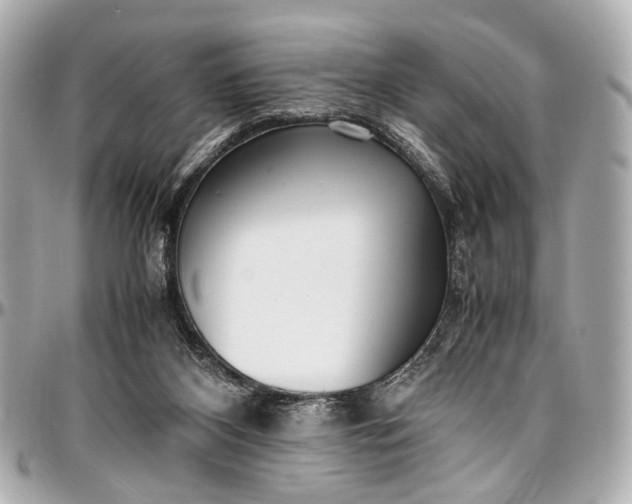 X0000097000116200802221530