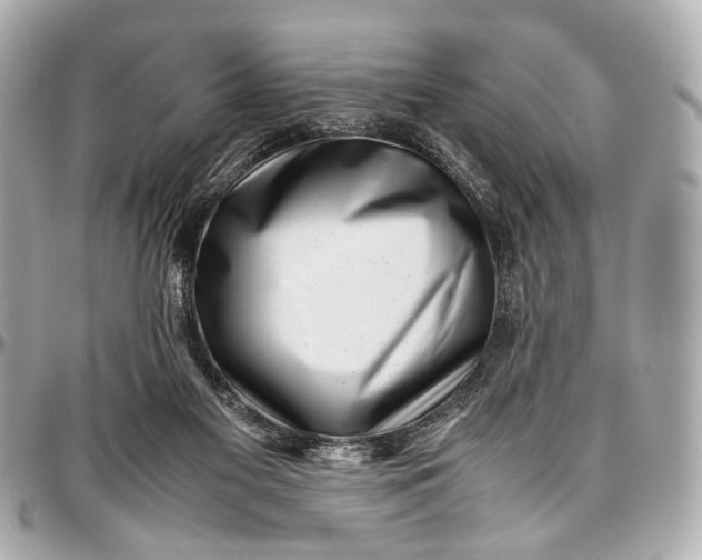 X0000097000117200802221530