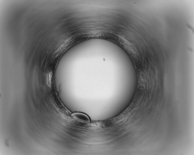 X0000097000118200802221530