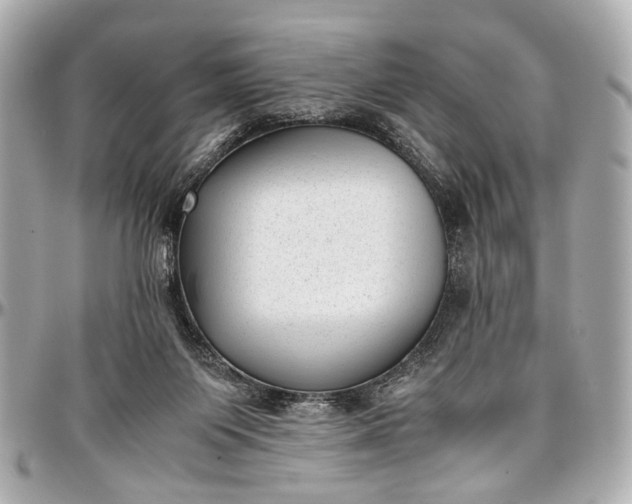 X0000097000119200802221530