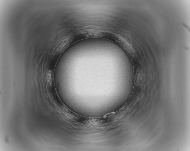 X0000097000121200802221530