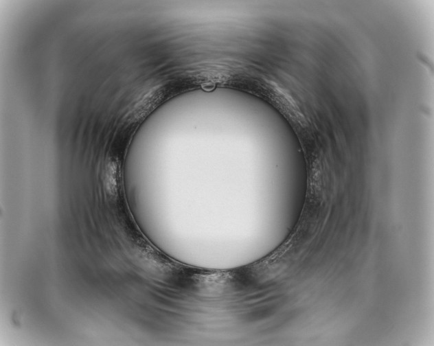 X0000097000122200802221530