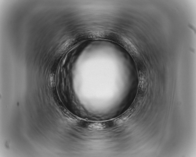 X0000097000123200802221530